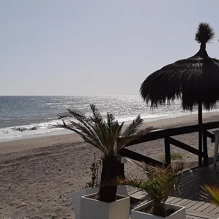 Laguna 13 1.4